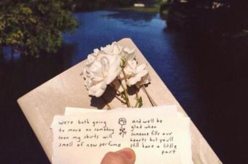 早安暖心的问候语