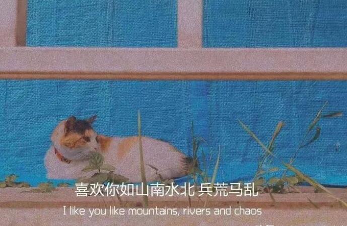 守护陪伴的句子文案