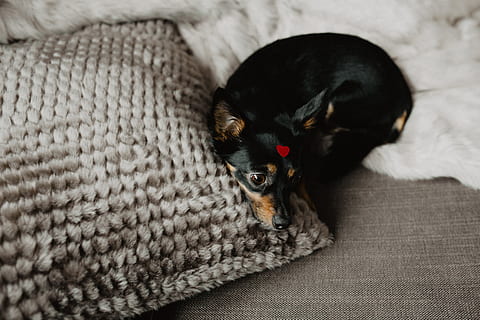 关于受伤了的伤感说说文案