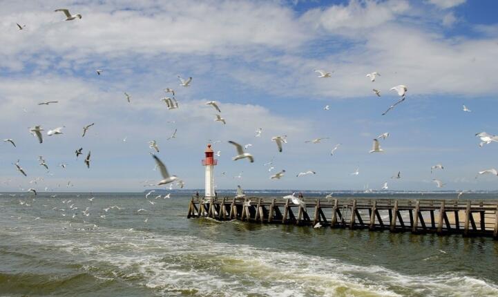 情侣聊天套路大全撩人