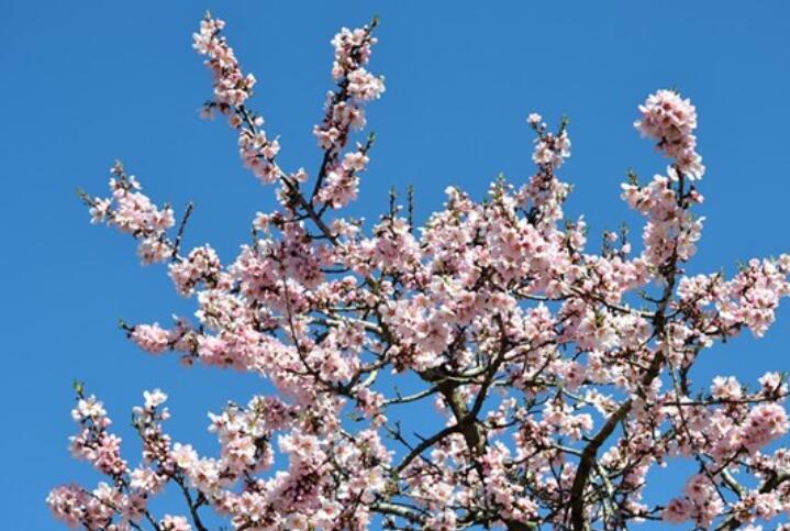 问早上好的幽默句子文案