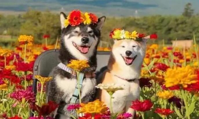 致男人的经典语录文案