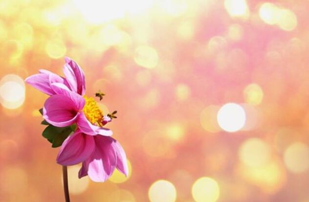 表达心情最好的句子文案