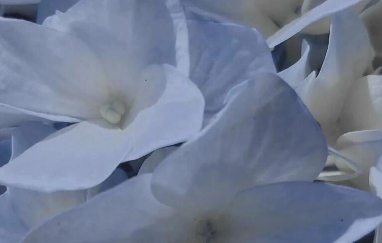 得不到的永远是美好的说说文案