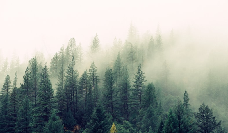 老人智慧语录文案