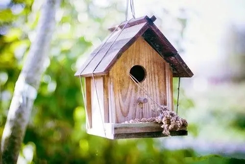 回家的调皮说说文案