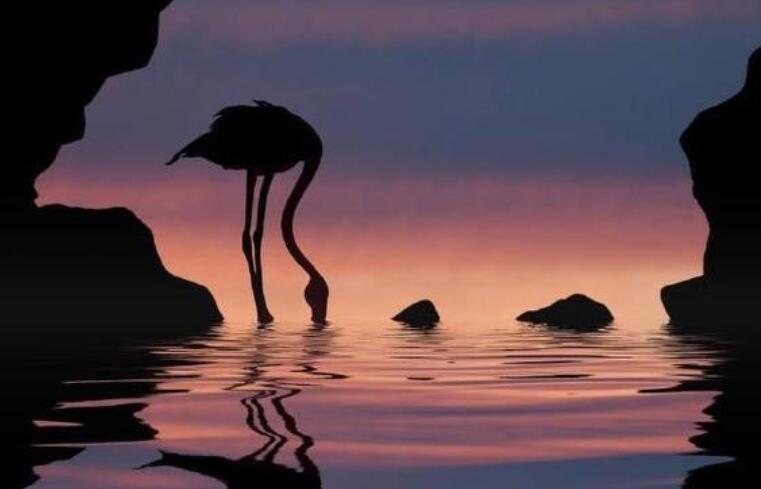 超拽个性霸气冷酷句子文案