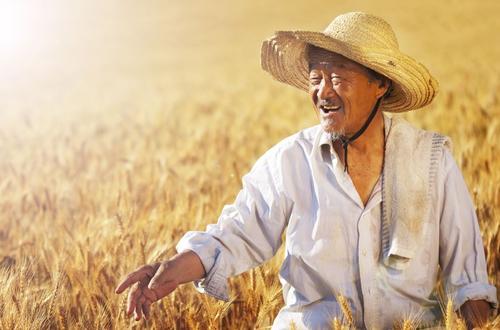 赞美农民的经典诗句文案