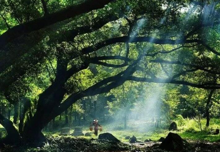 古人做人做事名言