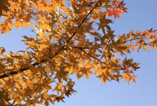 分手后温暖的句子文案