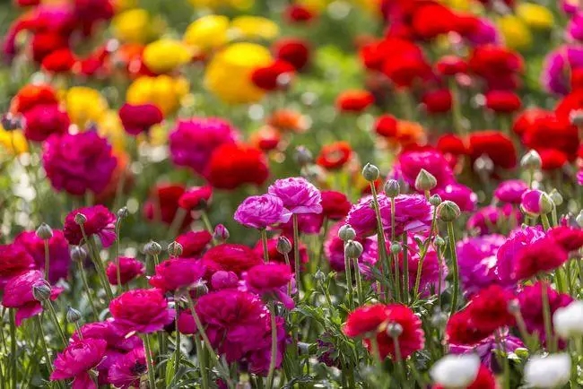 名人名言励志30句