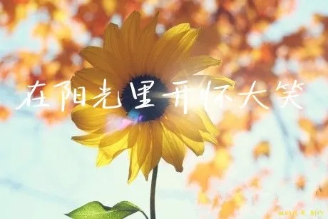 早上美景感悟的句子文案