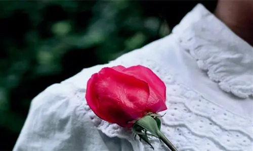 女人心情的经典语句文案