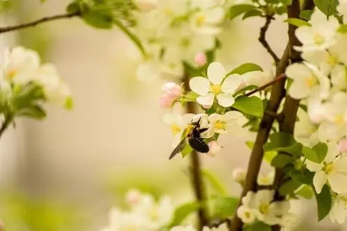 赞美二月唯美诗句文案