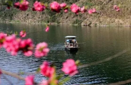 形容早晨的诗句文案