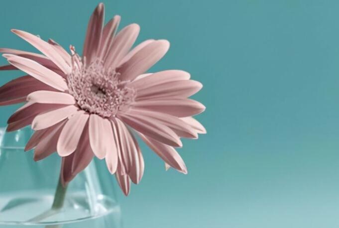 说说文案伤感短句