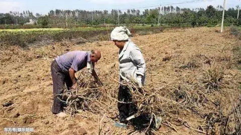 干农活累的句子文案发朋友圈