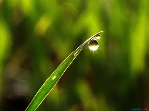 阳春三月的励志句子文案