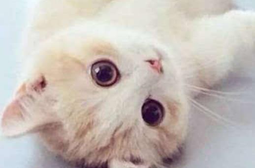 朋友卡片上的温暖句子文案