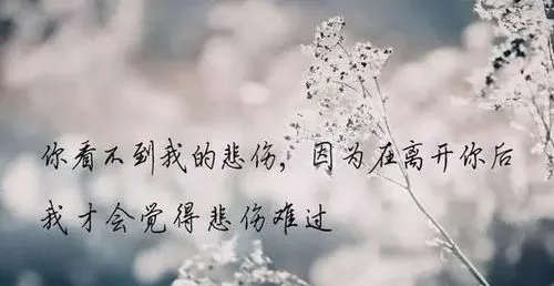 扎心语录文案情感语录文案