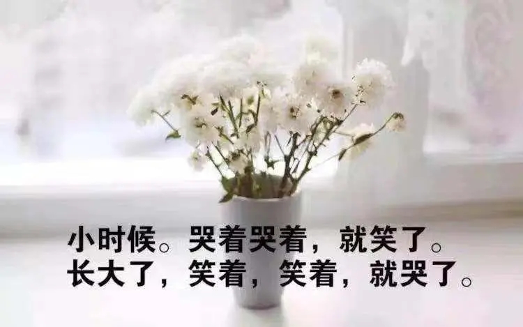 女人生活累的经典语录文案