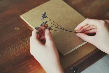 形容人生活朴实的句子文案