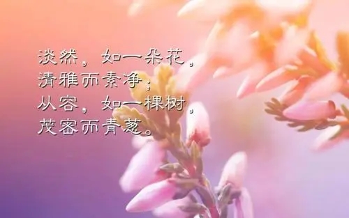 关于幸运的句子文案