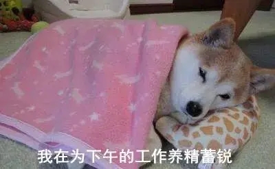 关于午觉的说说文案搞笑的