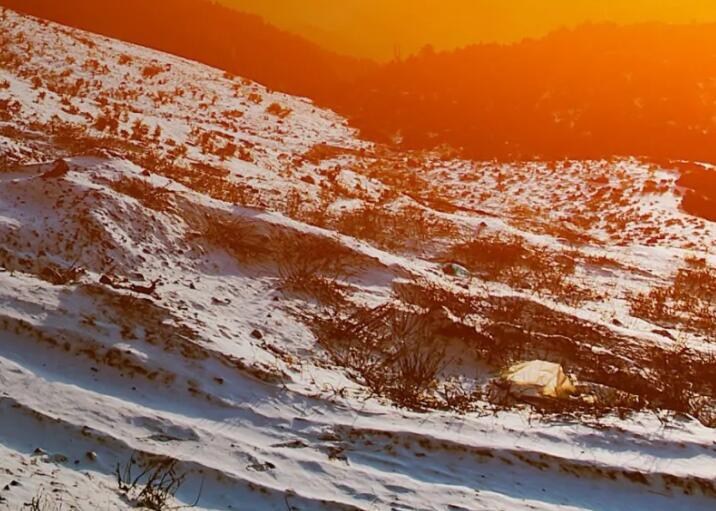 感恩的心正能量句子文案