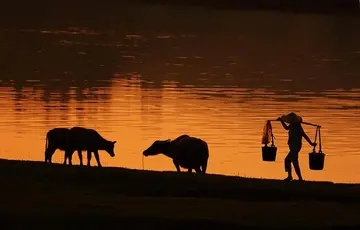 描写乡村黄昏的段落句子文案