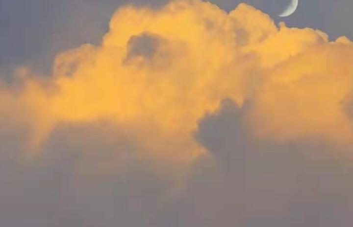 有关热爱小说的文案