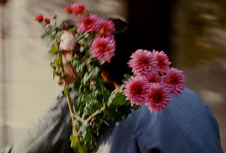 形容自己老了的幽默句子文案