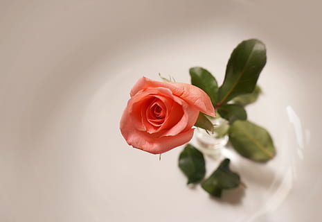 关于爱情分手的句子文案短