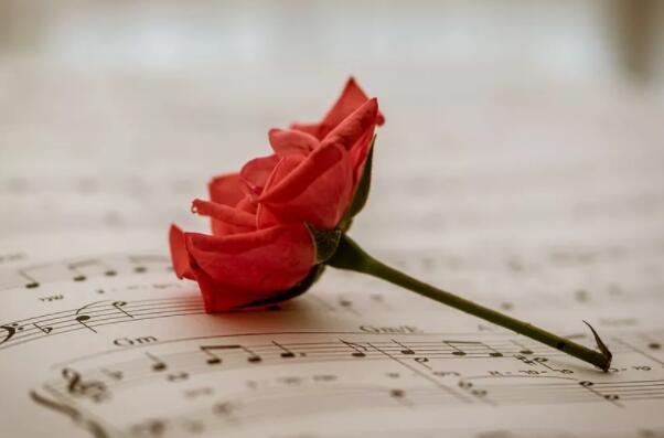 形容忙碌的句子文案