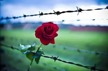 中午语录优美句子文案