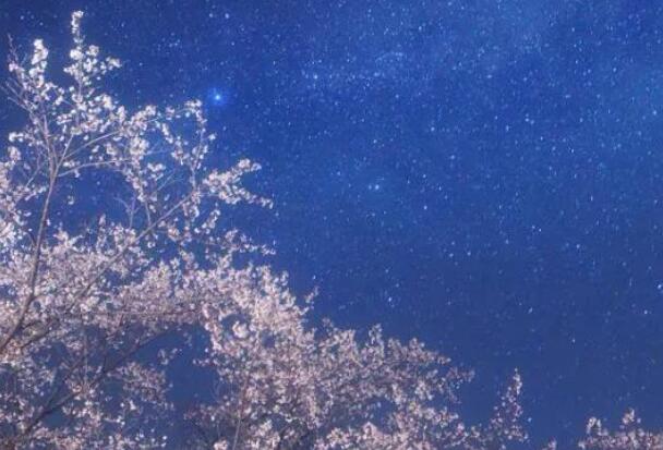 适合夜听的情感语录文案