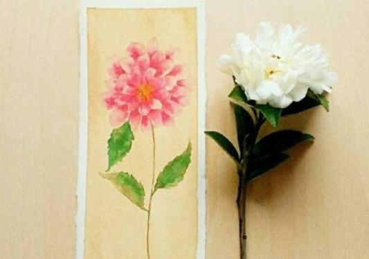 生活感悟经典句子文案微信短句