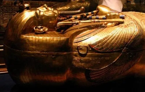 m要对主人说的话