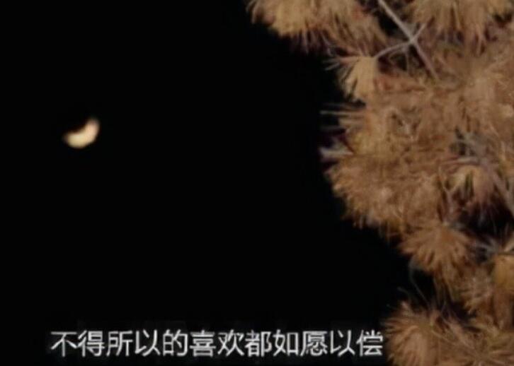 真真假假的人心的句子文案