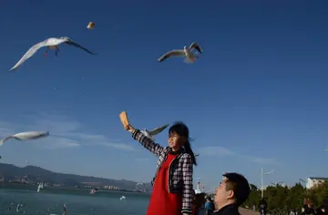 讽刺旅游的句子文案