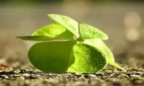 2024励志语录文案简短