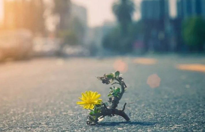 虽然天冷但心很暖的话