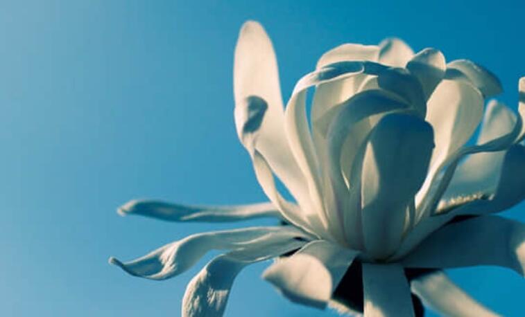 比喻有些人无情的语句文案