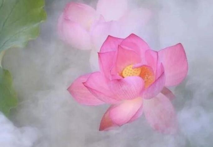 让自己心静沉稳的句子文案