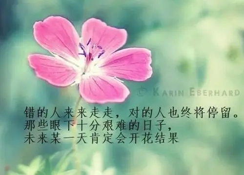 心情低落人生哲理短句