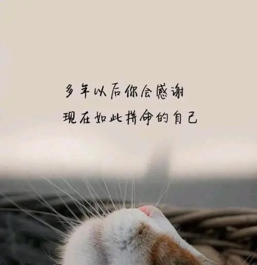 放下顾虑轻松前行的名言