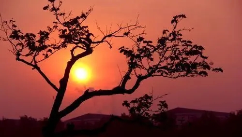 描写凄凉萧条景象的句子文案