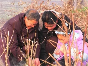 给爸爸上坟伤感的句子文案