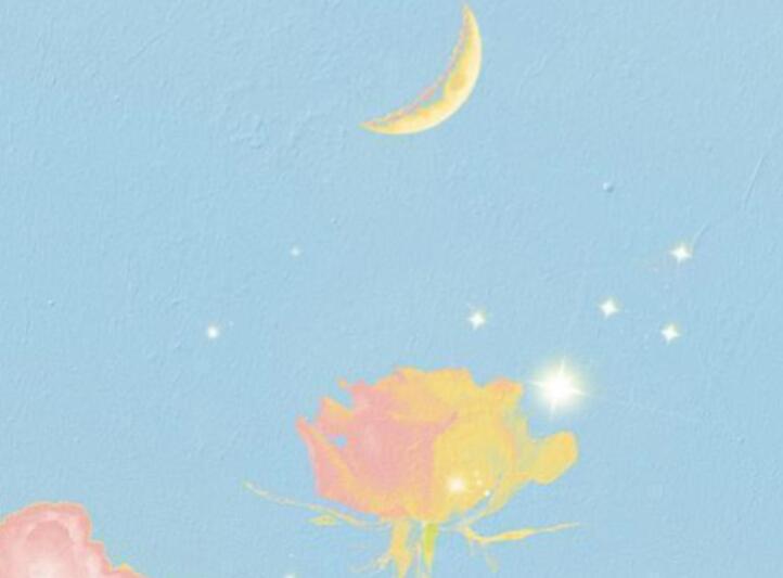 舔狗的句子文案经典语录