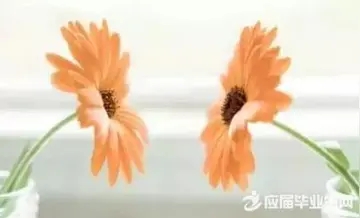 摘抄优美句段300字